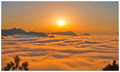 龙岛异兽官网攻略合集 下载游玩怎么上手 跨服玩法说明 收藏备用