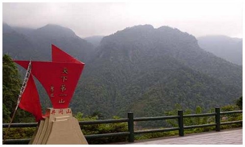 龙岛异兽官网下载游玩攻略分享 